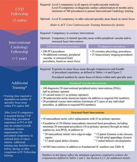 what are the an-acc key criteria